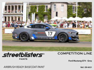 Competition Line Paint - Ford Mustang GT4 -> Gray - 1x30ml (SB30-6021)